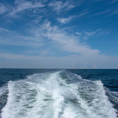 Wasser 0947a