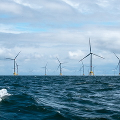 Offshore