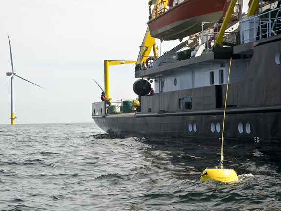 Deneb mit Waverider im Windpark